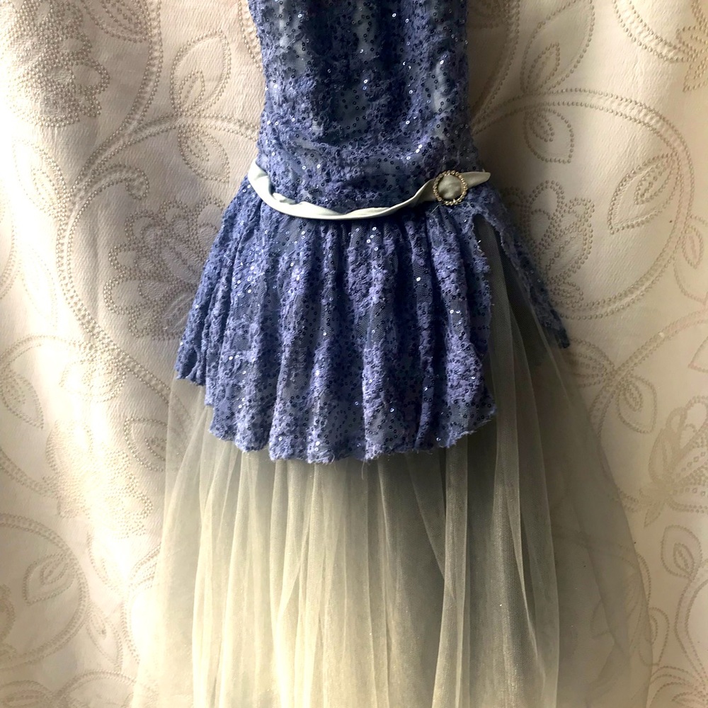 Vintage Sequined Tulle Dress Costume